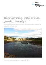 Compromising Baltic salmon genetic diversity 