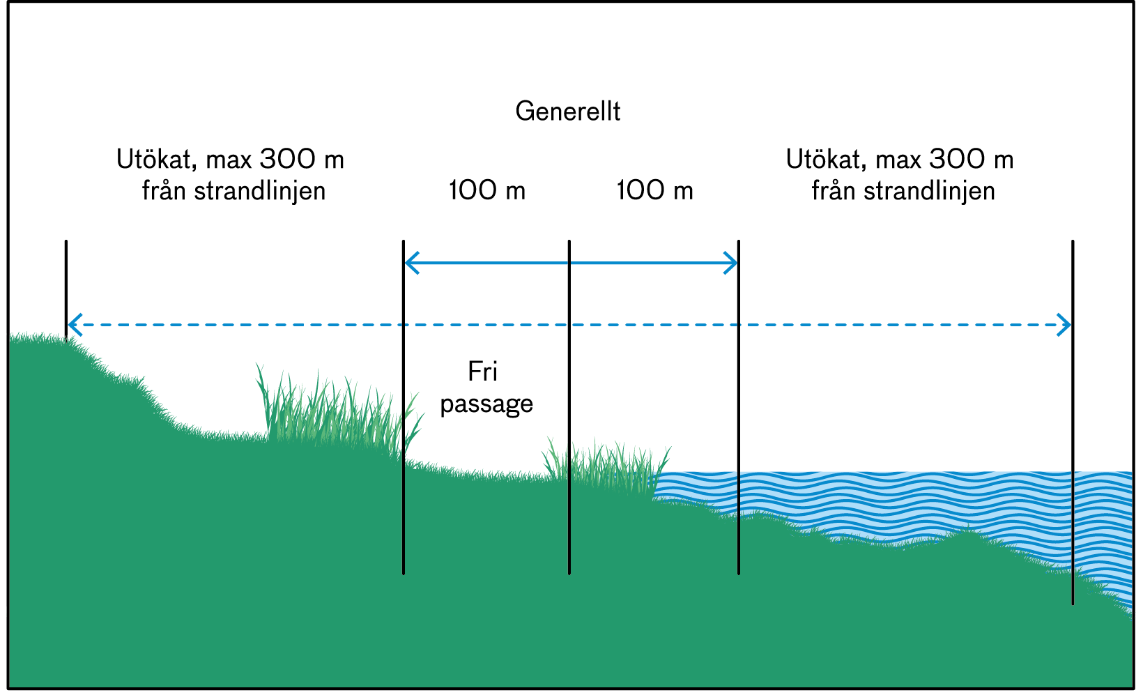 Illustrationen visar ett ett strandparti där avståndet för det generella strandskyddet på 100 meter och det utökade strandskyddet på 300 meter finns utmärkt.