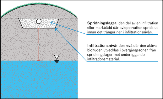 Illustrationen visar att infiltrationsnivån i en konventionell markbaserad anläggning finns i övergångszonen mellan spridningslagret och det underliggande materialet. Avståndet från infiltrationsnivån till grundvattenytan är 1 meter.