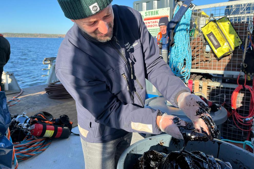 A man putting his hands in oil.