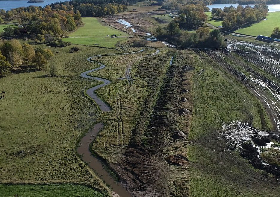 Meandring och våtmarker i naturreservat vid Segersgärde.