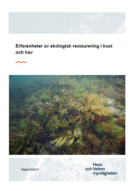 Omslag för publikation