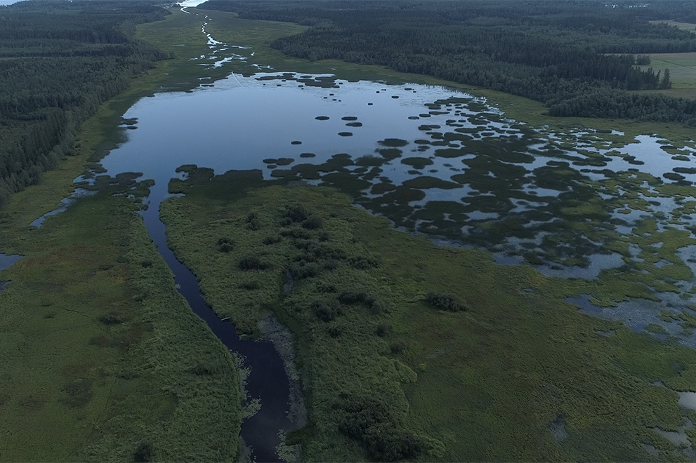 Drönarbild av Tavelfjärden.