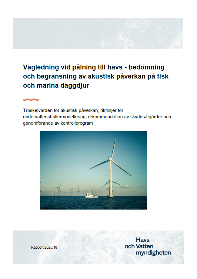 Omslag för publikation