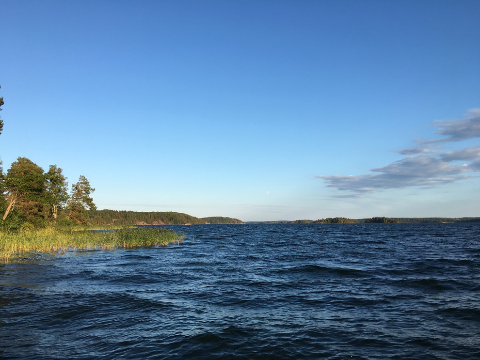 Mörkt blått vatten som sträcker sig mot horisonten. Vattnet omges av vass och skog. Himlen är klart blå med små gråa moln till höger.