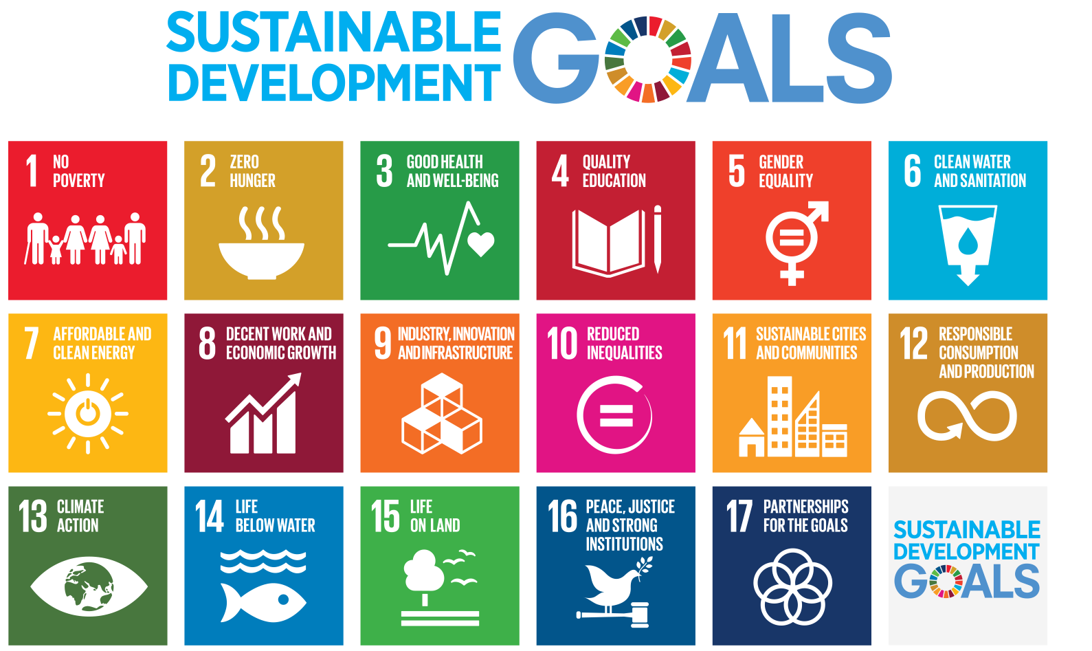 SDG image