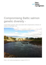 Compromising Baltic salmon genetic diversity