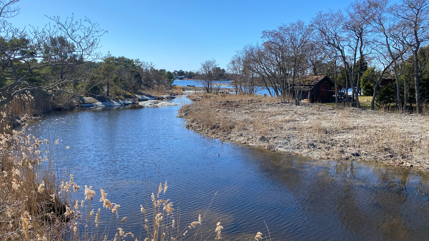 Ett vattendrag omgivet av träd och gräs.