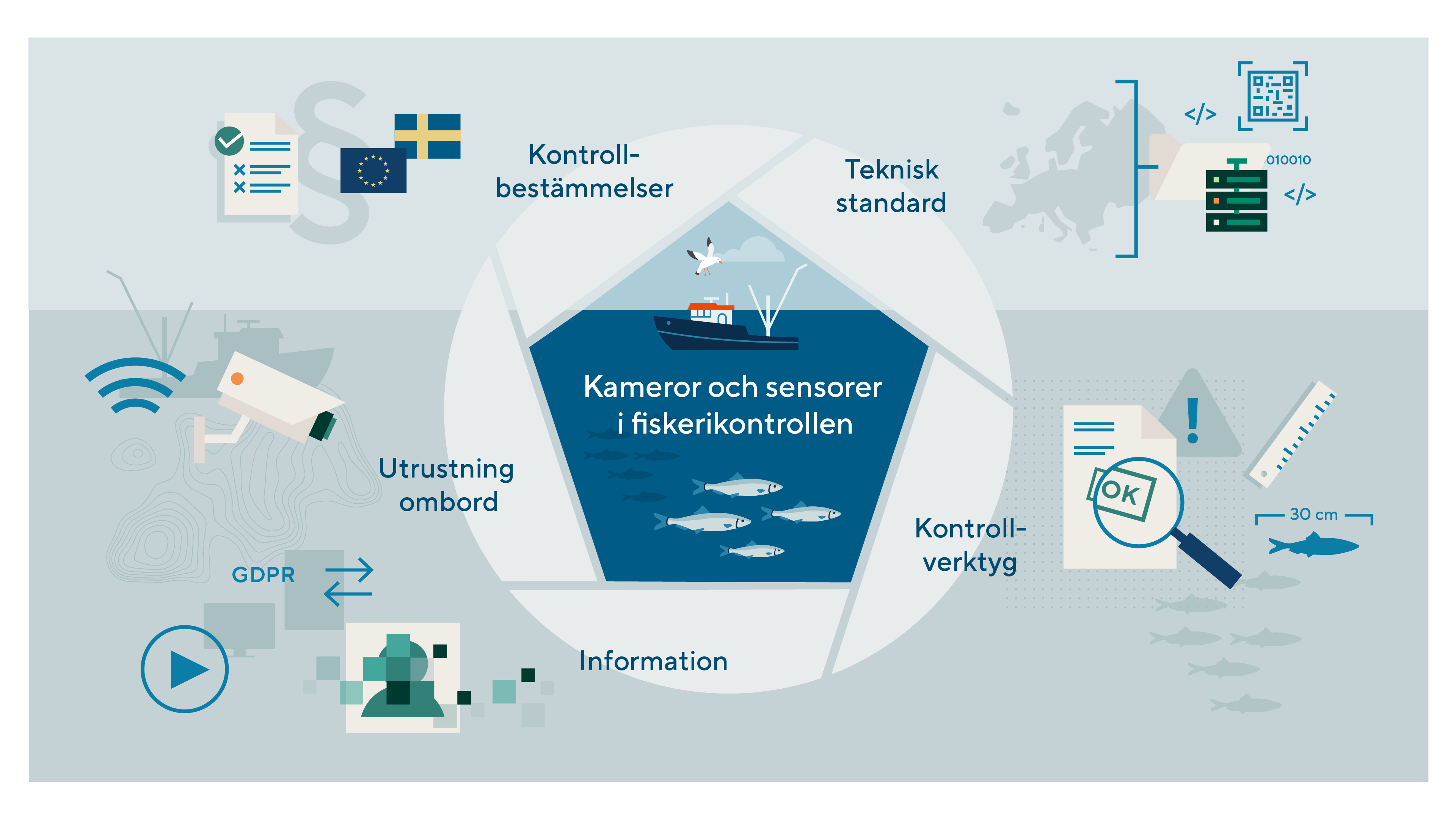 illustration som visar vilka delar i fiskerikontrollen som REM påverkar och påverkas av
