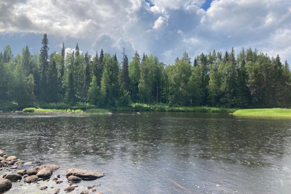 Älv i förgrund. Skog i bakgrund.