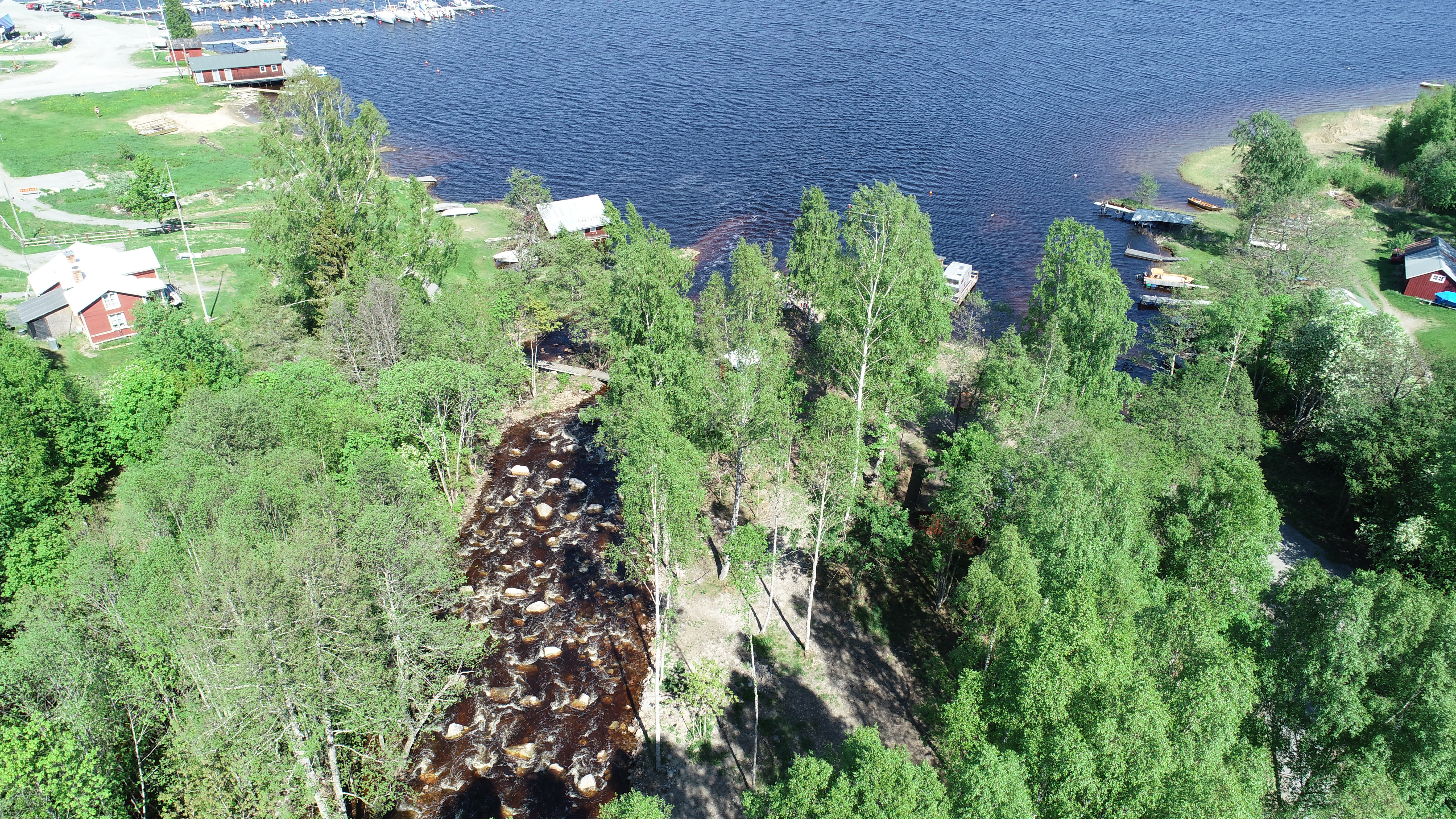 Nianåns mynning i Njutångersfjärden. Foto: Nichlas Dahlén/Länsstyrelsen Gävleborg