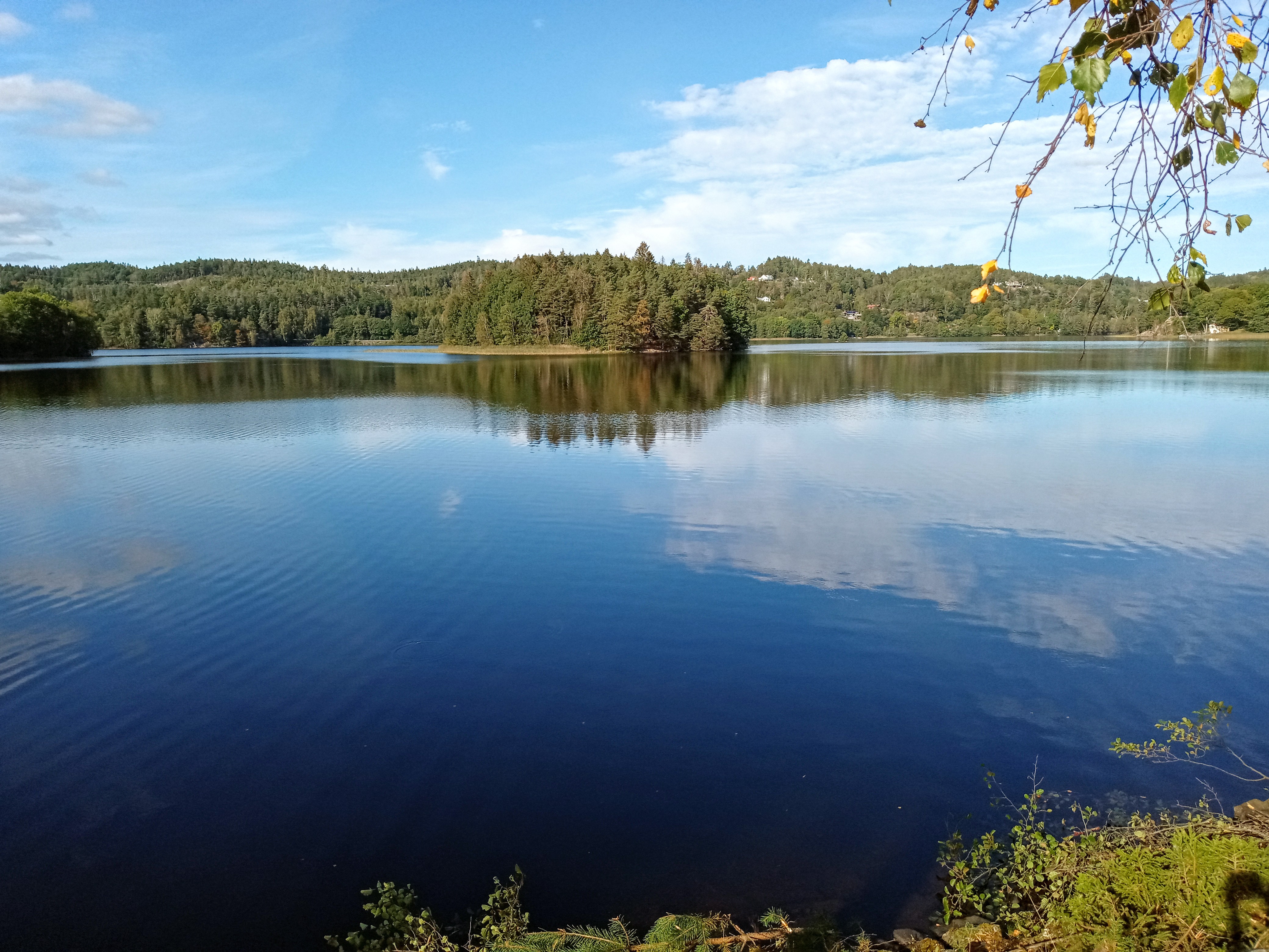 Landvettersjön är en ytvattenförekomst i Härryda kommun. Foto: Staffan Ljung/HaV