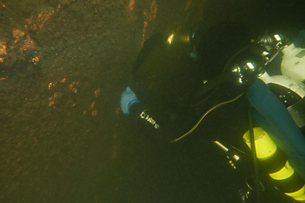 Diver.