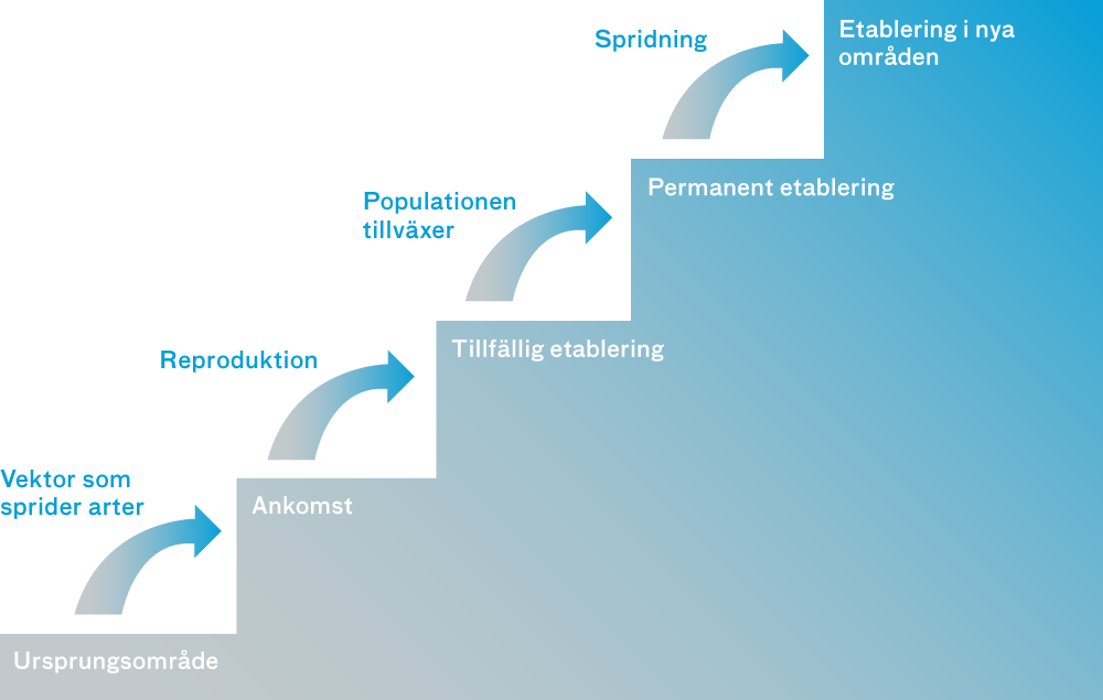 Stapeldiagram