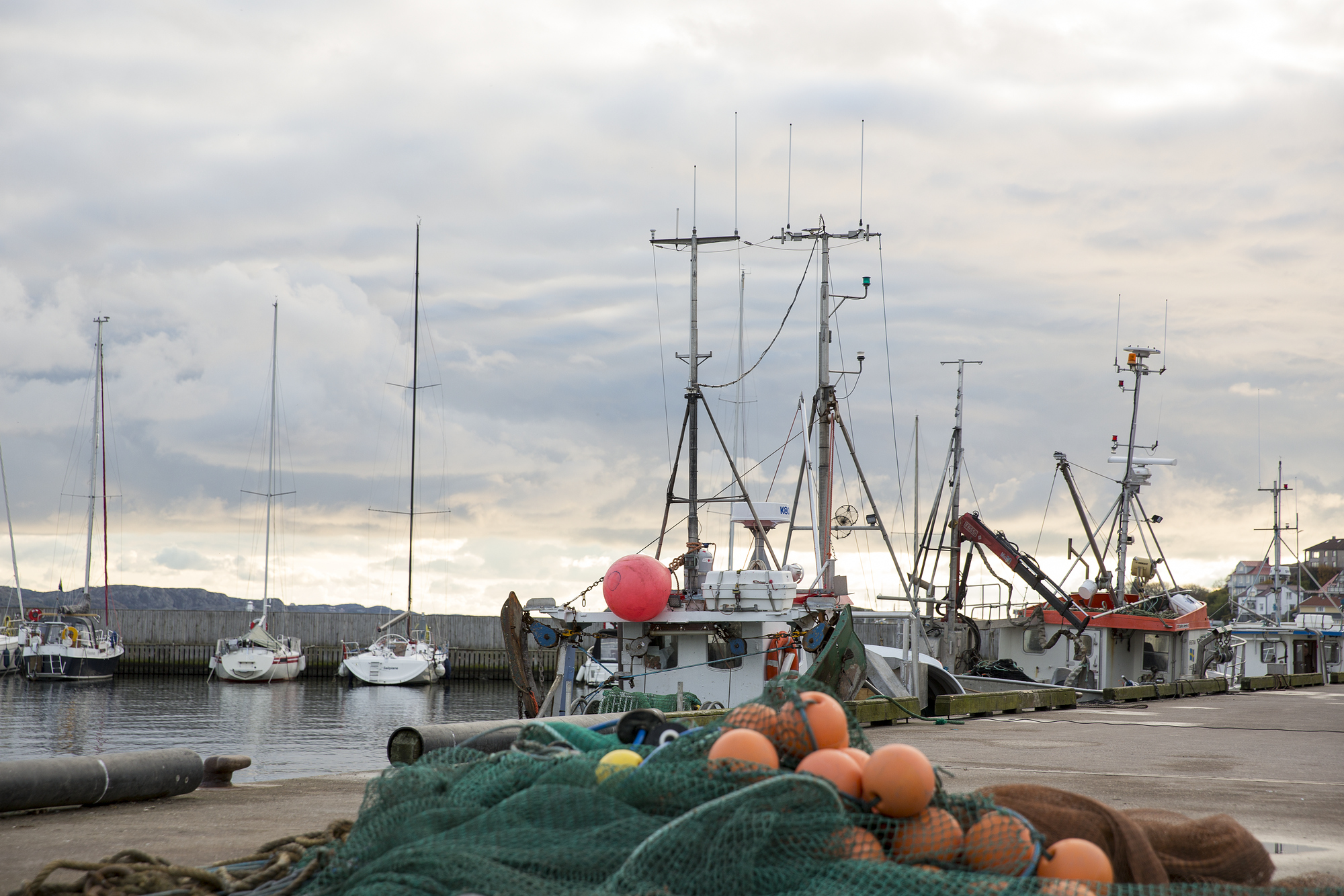 Mer än hälften av svenska marina yrkesfiskare uppger att de har påverkats av Corona-pandemin. Foto: Natalie Greppi