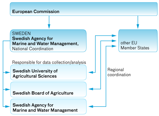 Organization chart. Illustration.