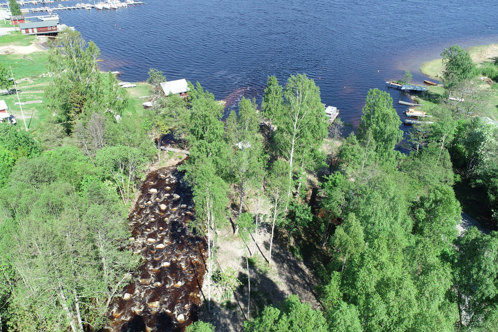 Nianåns mynning i Njutångersfjärden. Foto: Nichlas Dahlén/Länsstyrelsen Gävleborg