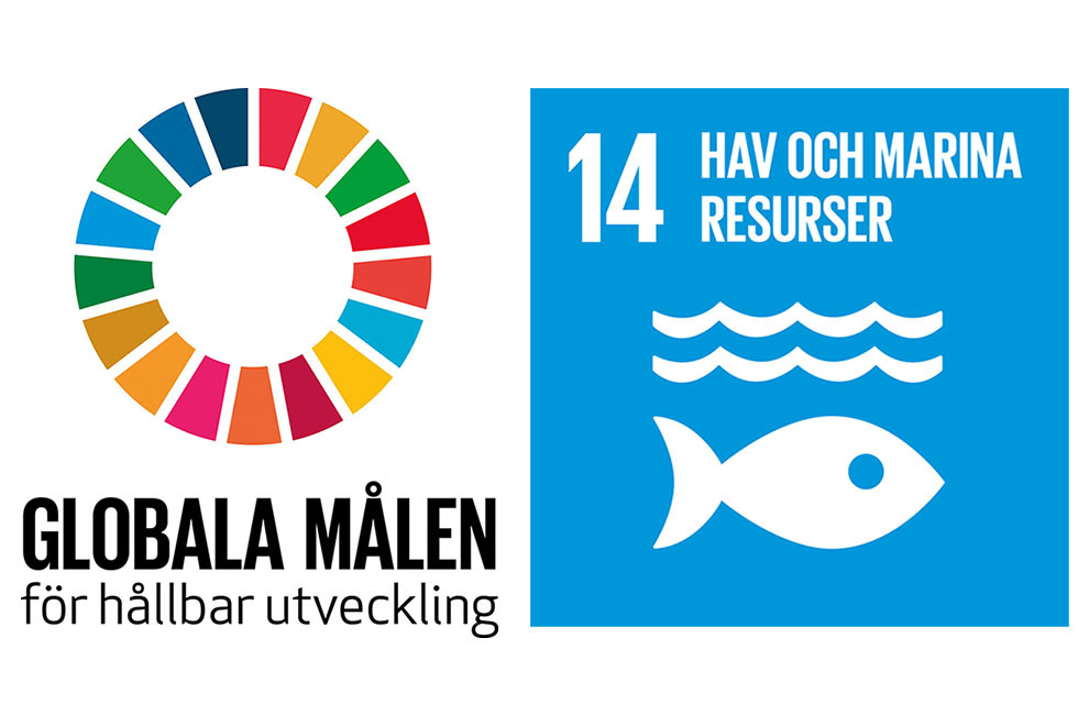 Symbolen för globala målen och fokus på mål 14 hav och marina resurser