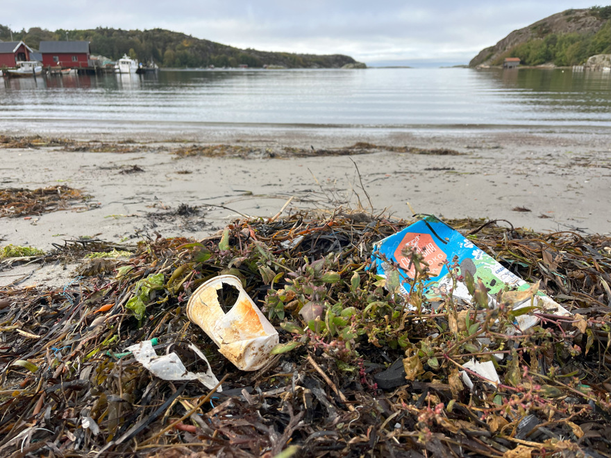 skräp och tång ligger på en strand i förgrunden. Där bakom breder havet ut sig