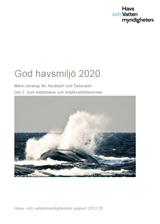 Omslag till rapport. Illustration.
