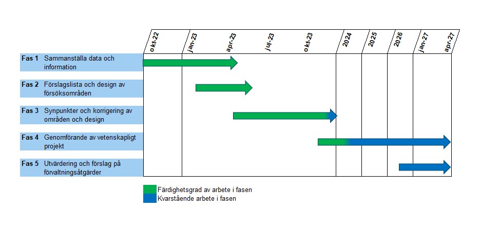 Illustration av fem faser i processen.