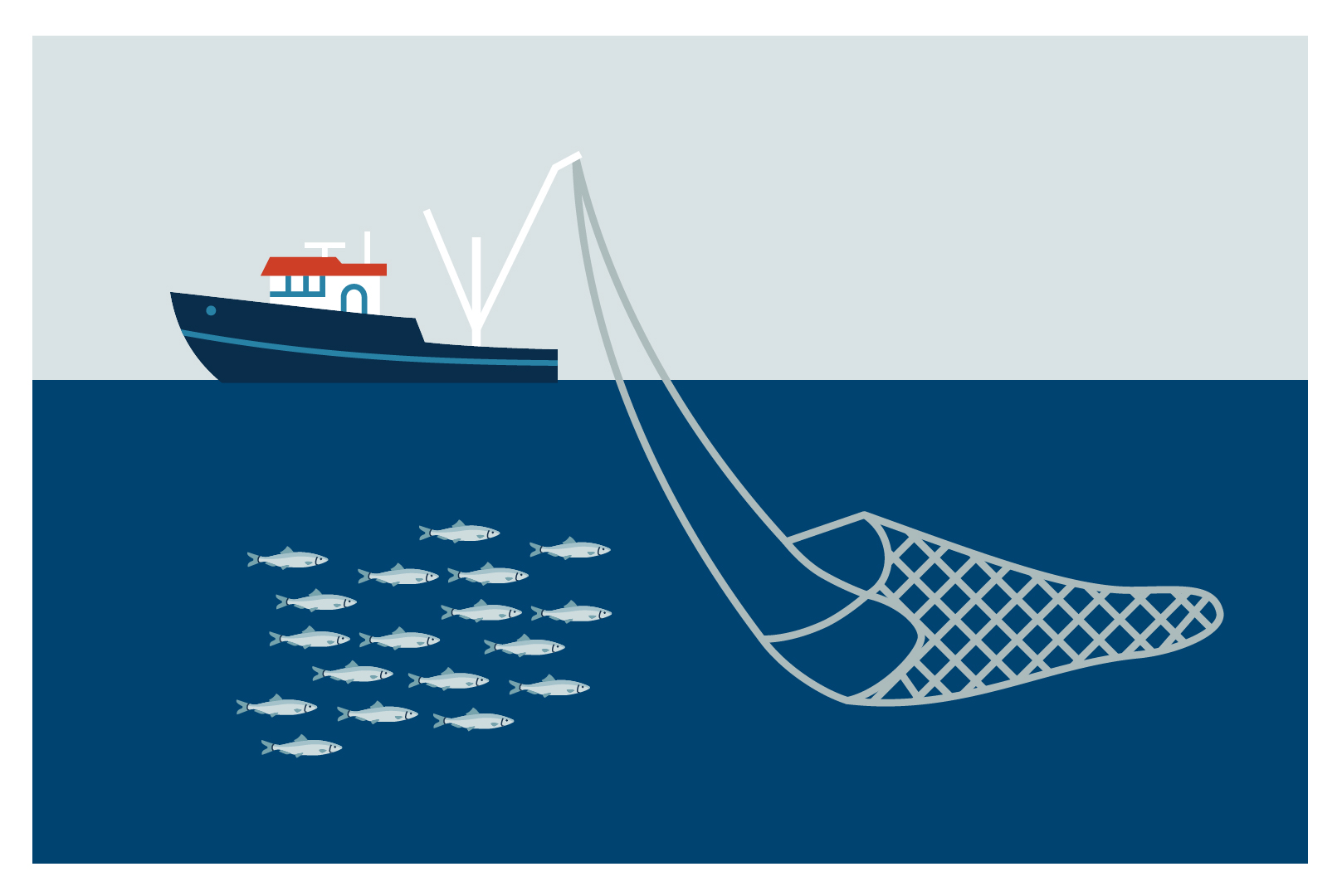 Sillar och en fiskebåt.