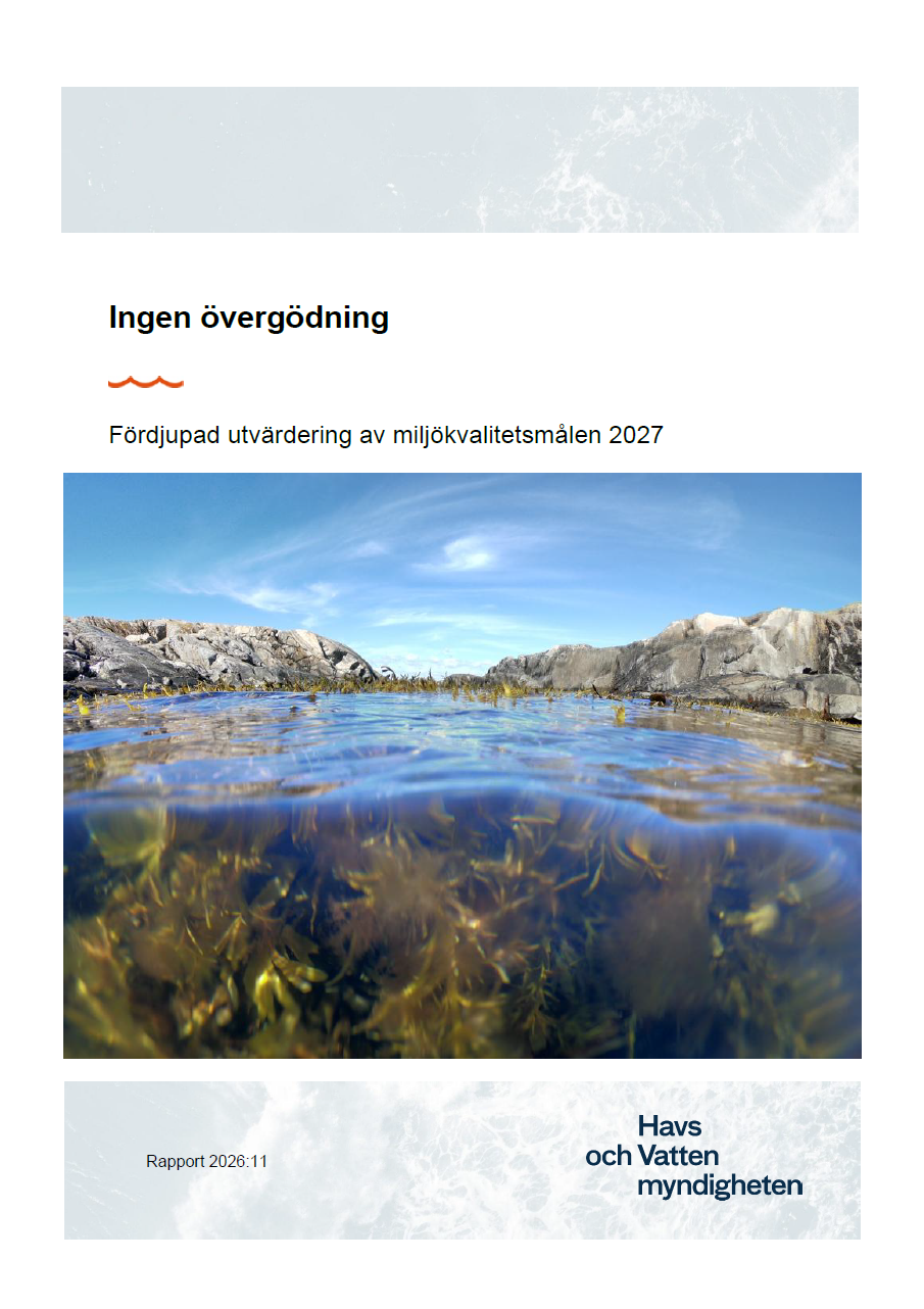 Omslag för publikation