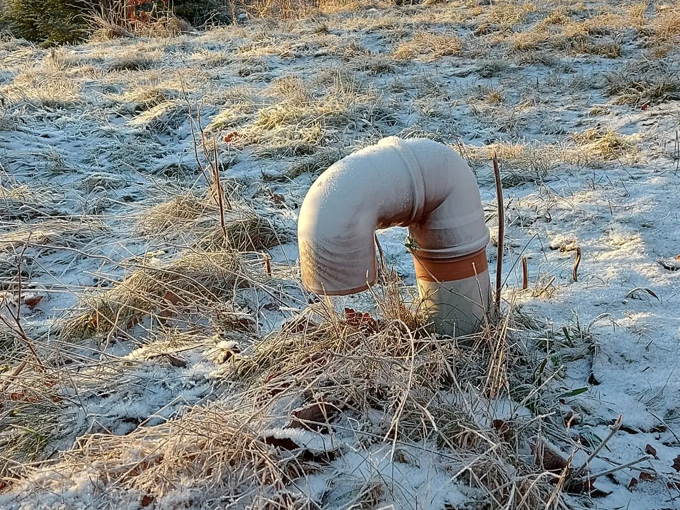 Foto: Bodil Forsberg