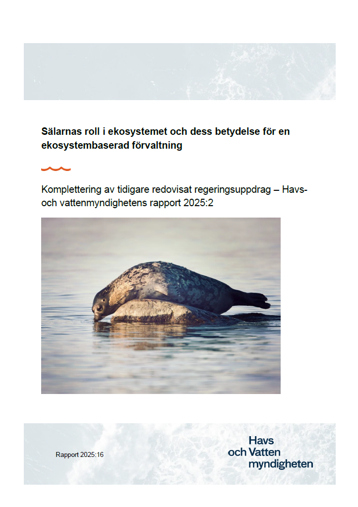 Omslag för publikation