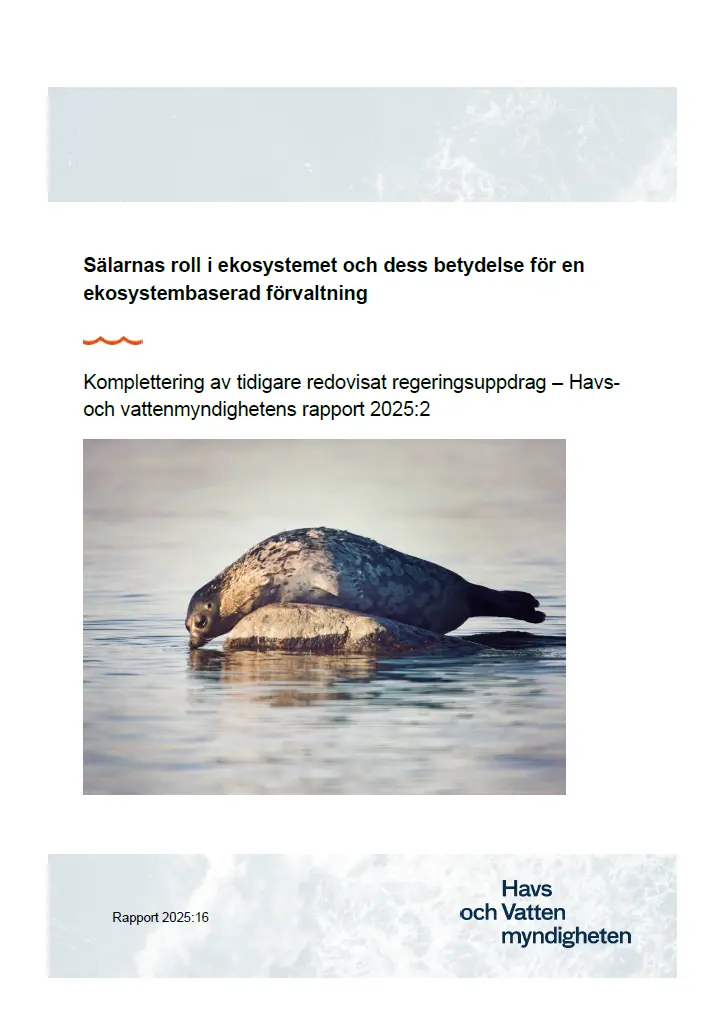Omslag för publikation