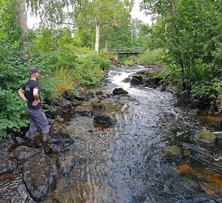 Virån, foto: Mikael Svensson