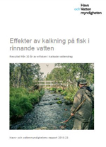 Omslag till rapport. Illustration.
