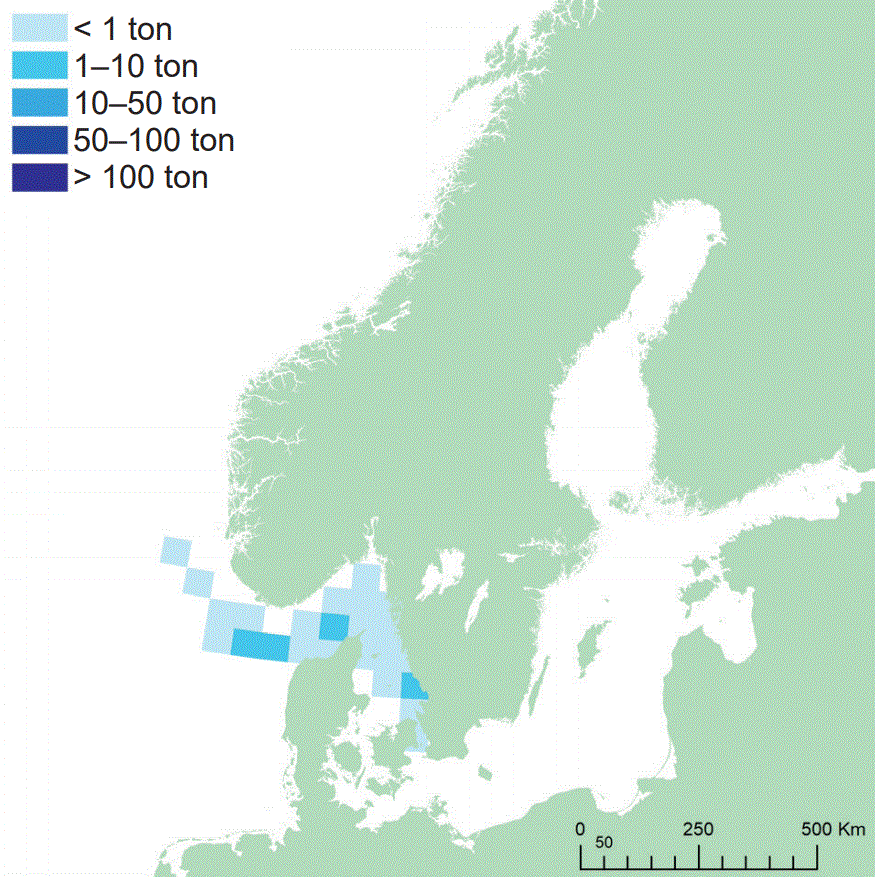 Svenska yrkesfiskares huvudsakliga fångstområde för bergtunga.