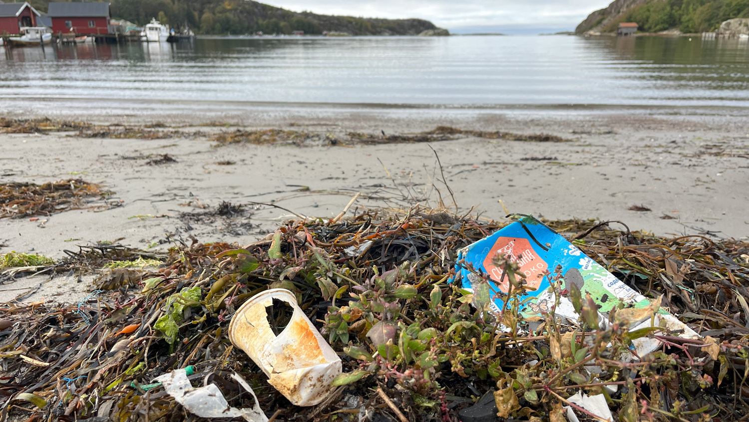Skräp som strand som spolats upp från havet