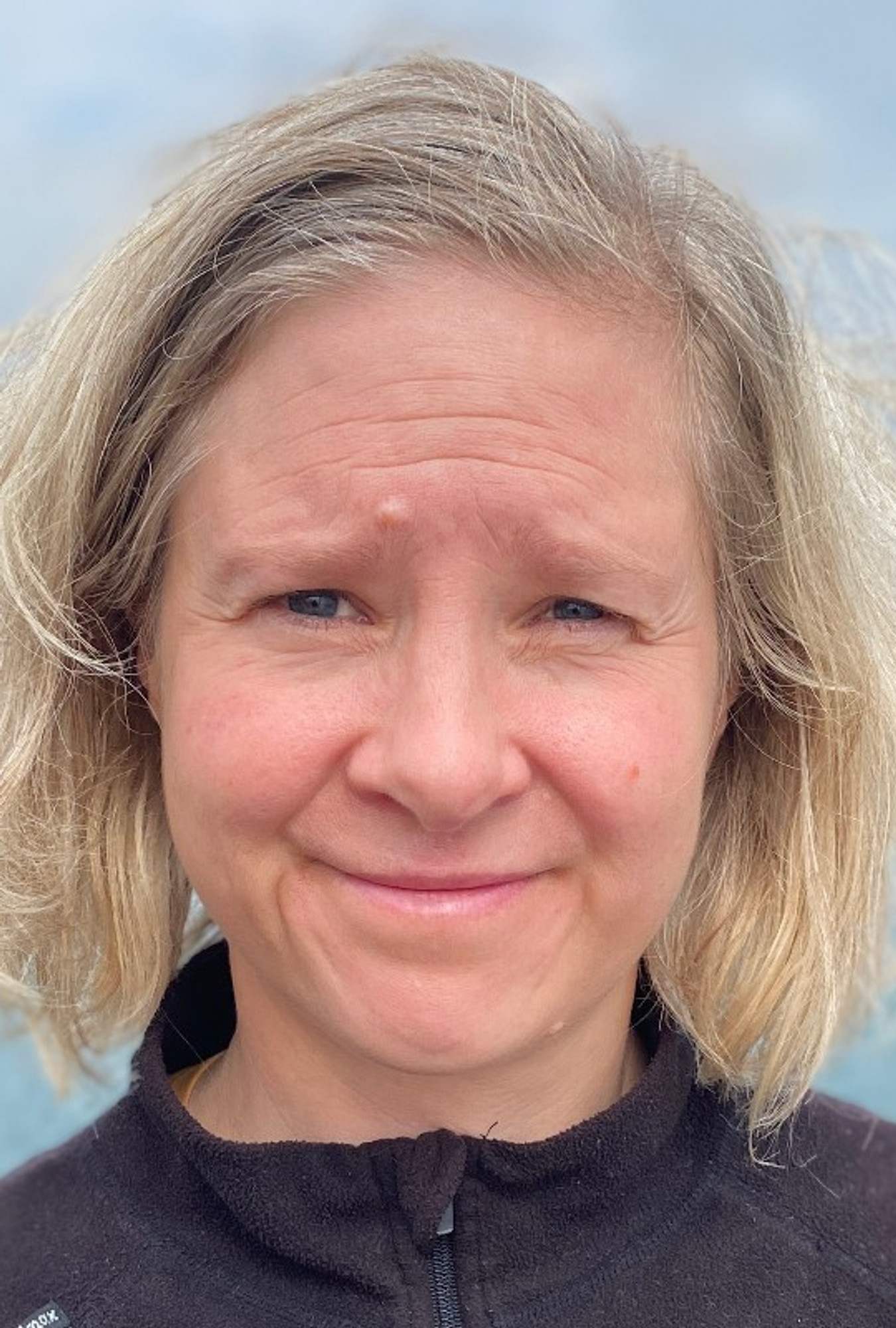 Julia Winroth, IVL Swedish Environmental Research Institute 