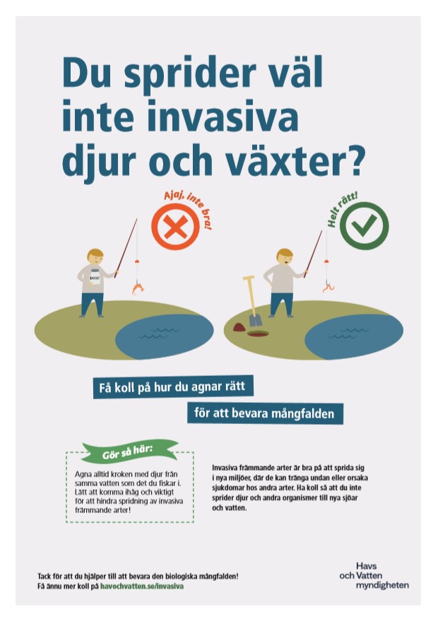 Få koll på hur du agnar rätt . informationsaffisch för att förhindra spridning av främmande arter