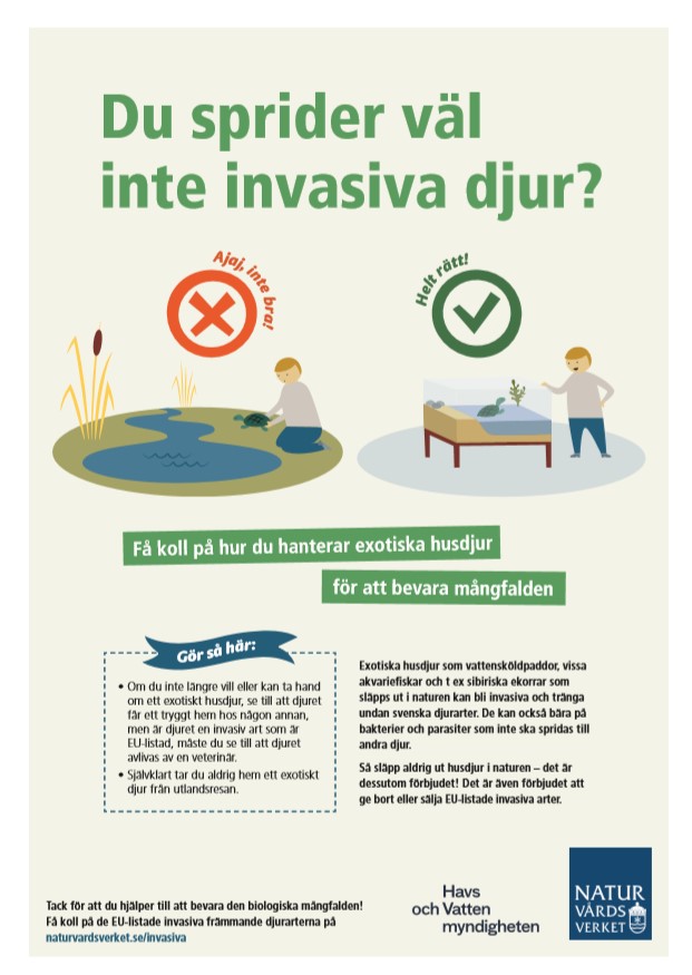 Få koll på hur du hanterar exotiska husdjur. informationsaffish om att förhindra spridning om invasiva arter