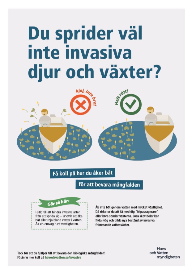 informationsaffisch för att förhindra spridning av invasiva arter