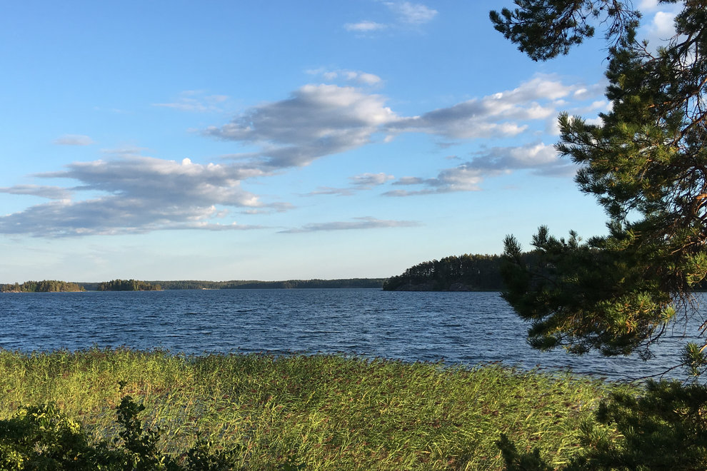 Mörkt blått vatten som sträcker sig mot horisonten. Vattnet omges av vass och skog. Himlen är klart blå med små gråa moln till höger.