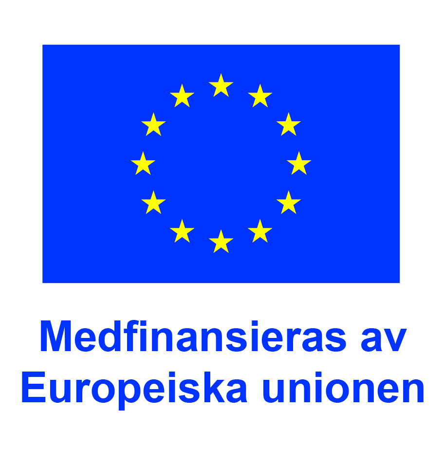 EU-flagga och texten Medfinansieras av Europeiska unionen