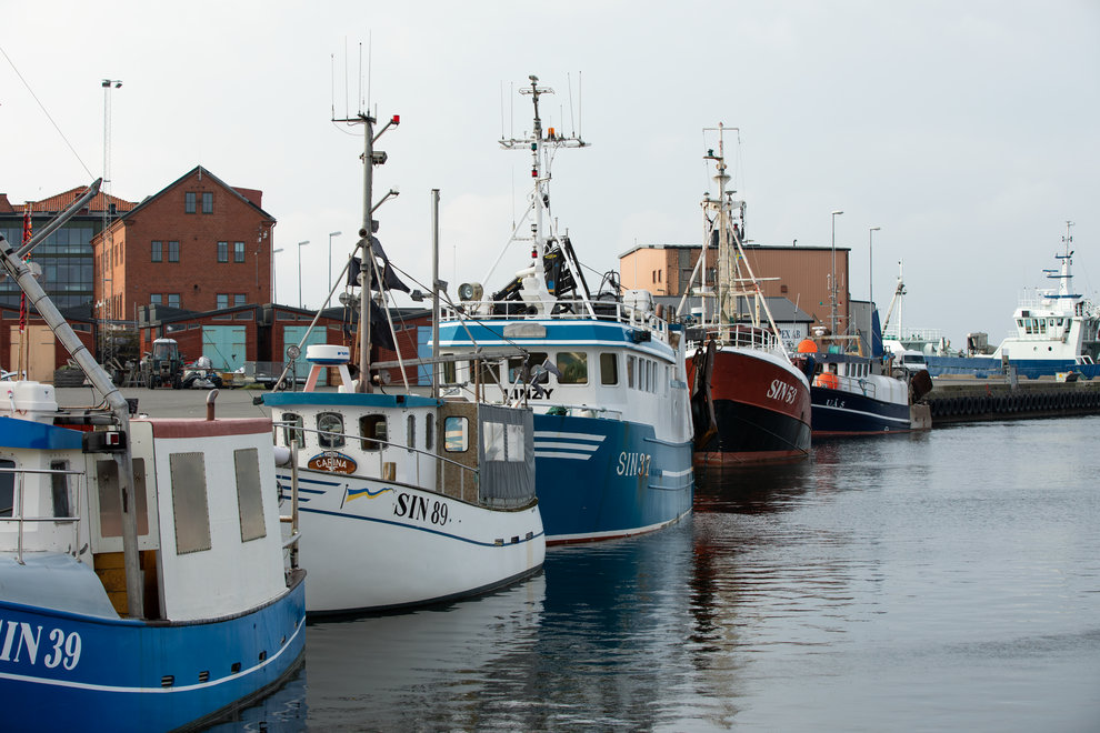 yrkesfiskebåtar i Simrishamn foto: Natalie Greppi