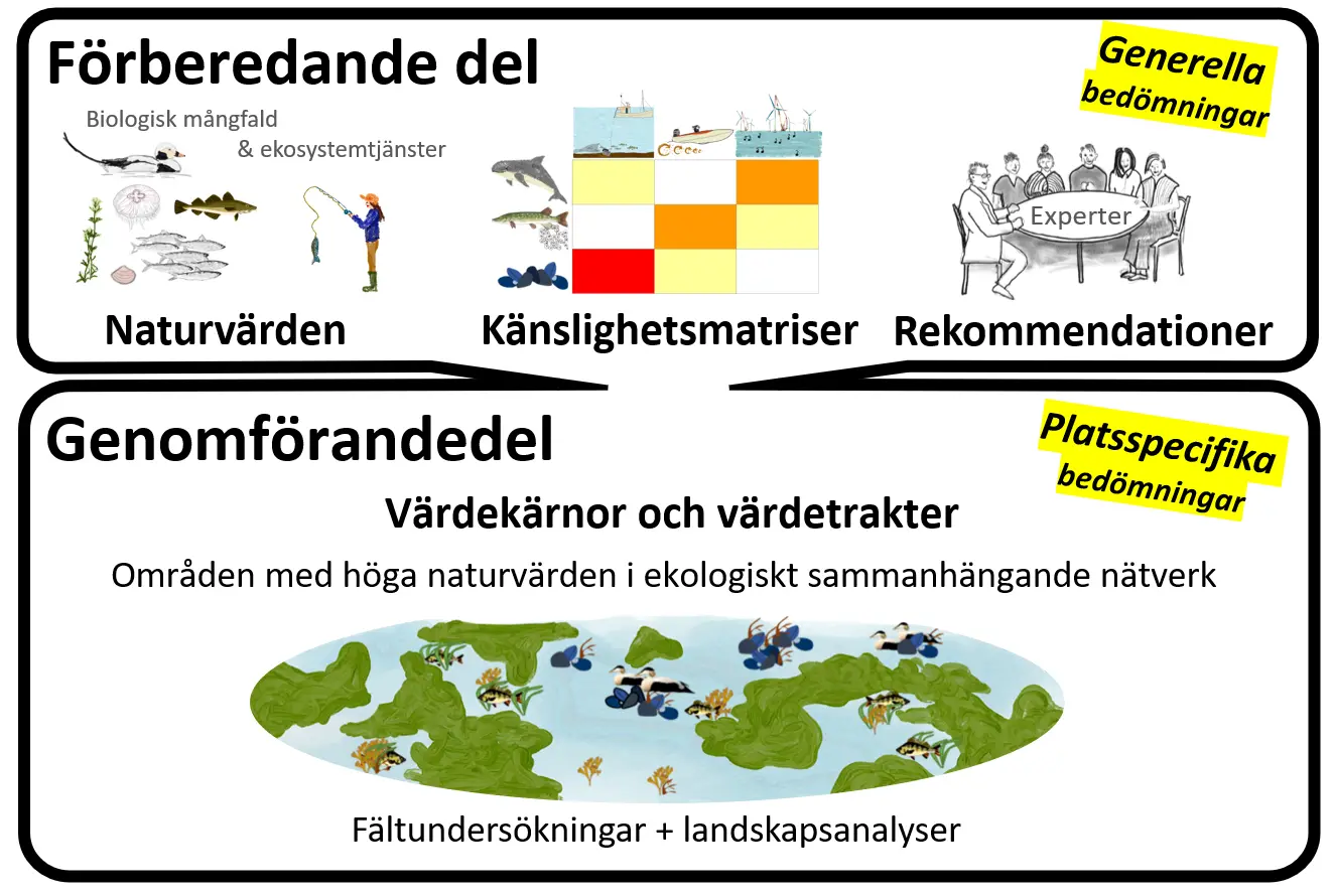 Figur 3. Överblick över Mosaic och dess två delar