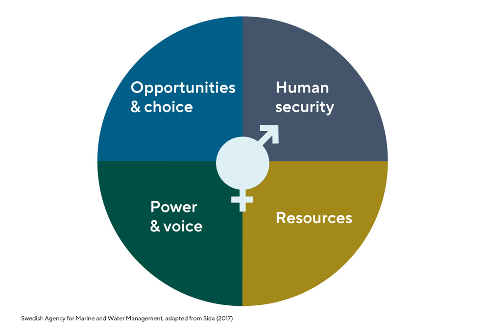 Disc divided in four sectors: Opportunities & choice, Human security, Resources, Power & voice. At the centre a gender symbol for man and woman.