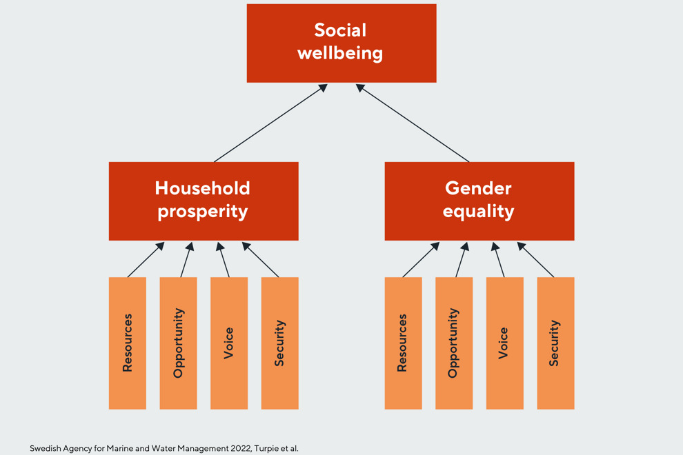 Tree diagram, in red and orange: Social wellbeing top, with 2 sub-groups Household prosperity and Gender equality, each with sub-sub-groups Resources, Opportunity, Voice, Security.