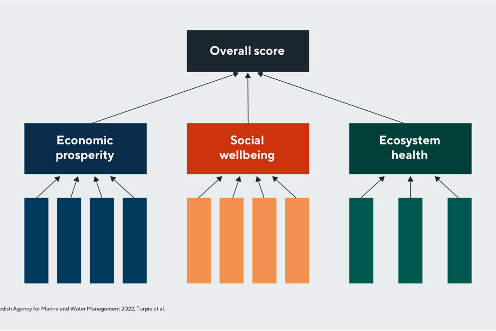 Tree diagram, top Overall score in black, 3 sub-groups Economic prosperity, Social wellbeing, Ecosystem health. Sub-sub-groups empty.