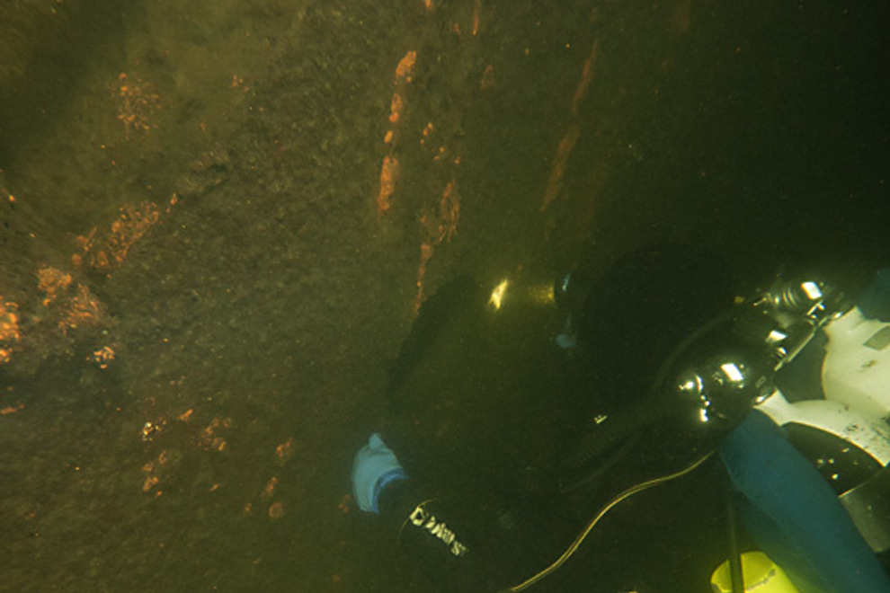 Diver.