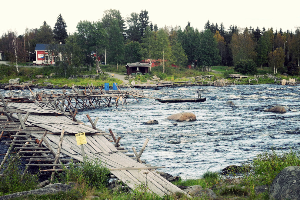 En träbro över en flod intill en skog.