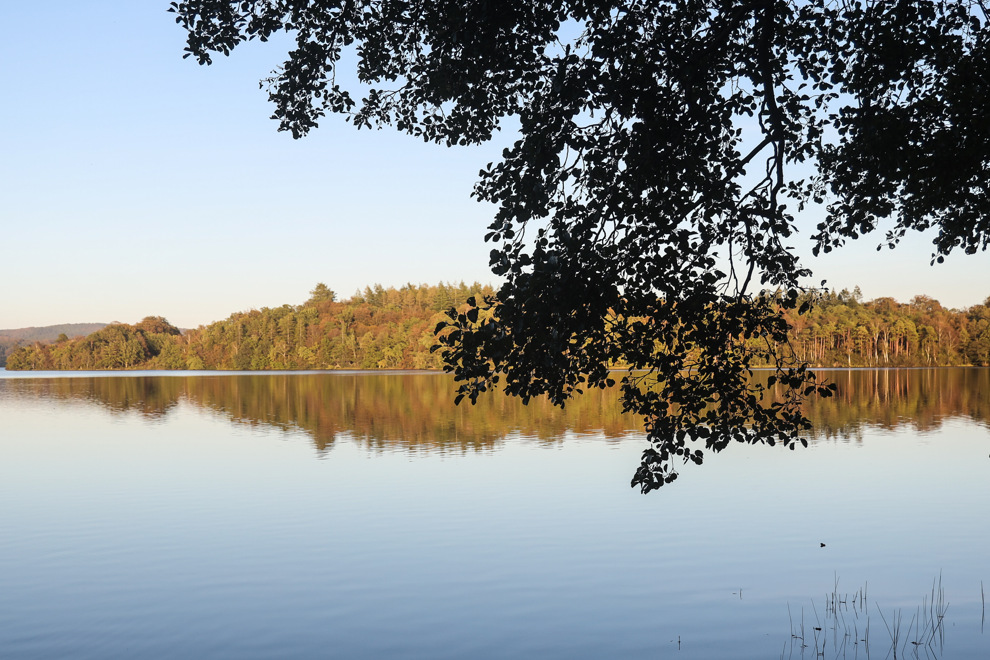 En gren med löv hänger i bildens övre hörn. Grenen är i skugga. Bakom grenen syns en spegelblank sjö framför tät höstig skog. Skogen reflekteras i vattnet. Himlen är ljust blå och solljuset lyser klart.