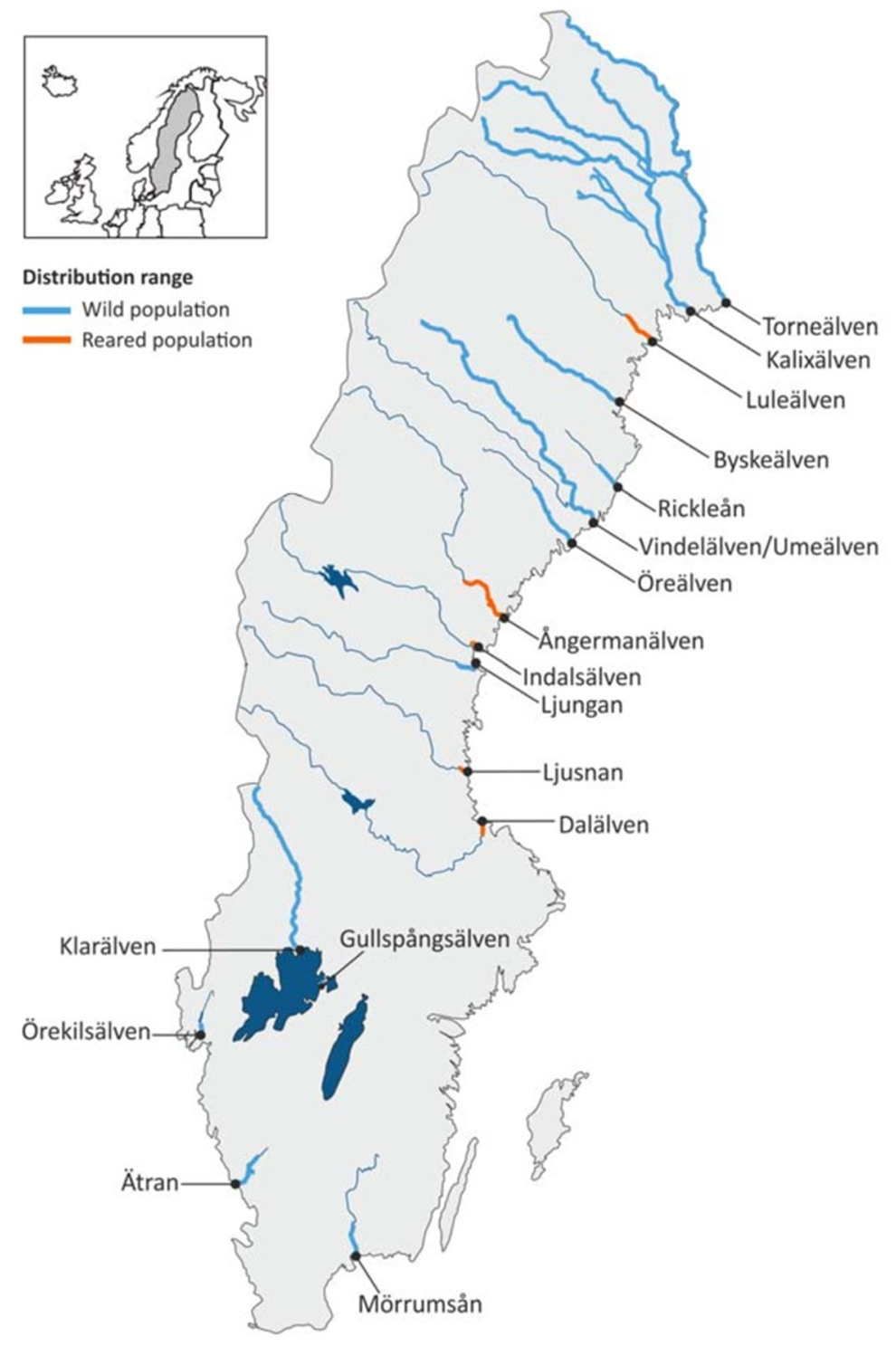 Figur 1, karta visar övervakning av lax