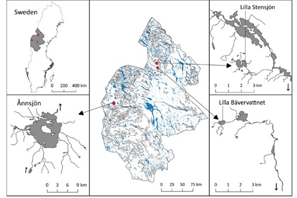 Figur 2. Karta som visar övervakning av genetisk mångfald i skyddade områden i Jämtland.